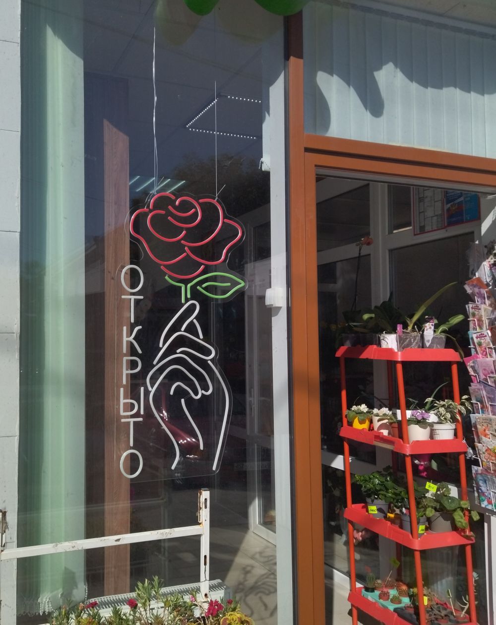 Гибкий неон